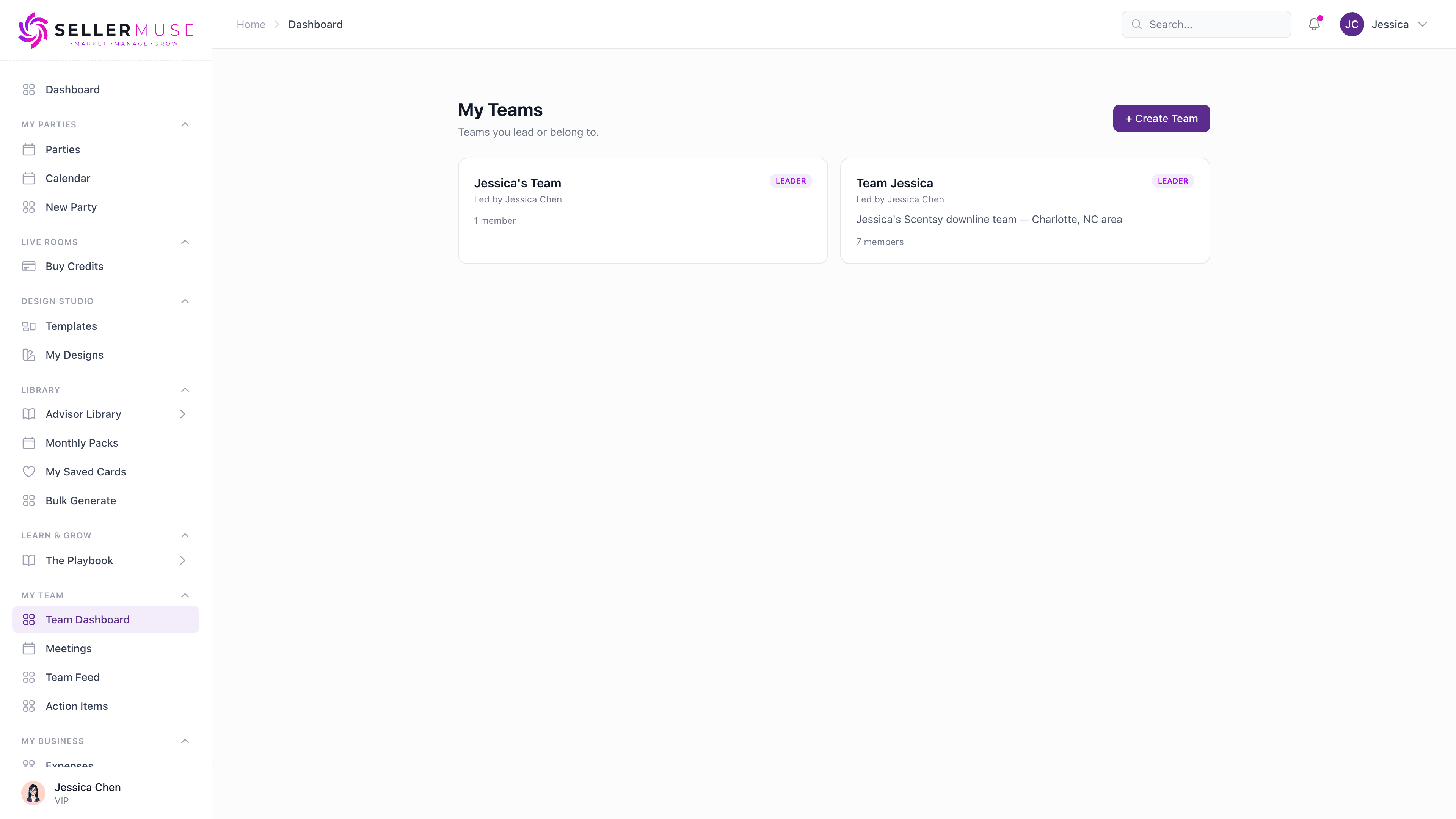 Team dashboard showing team members, meetings, feed, and action items